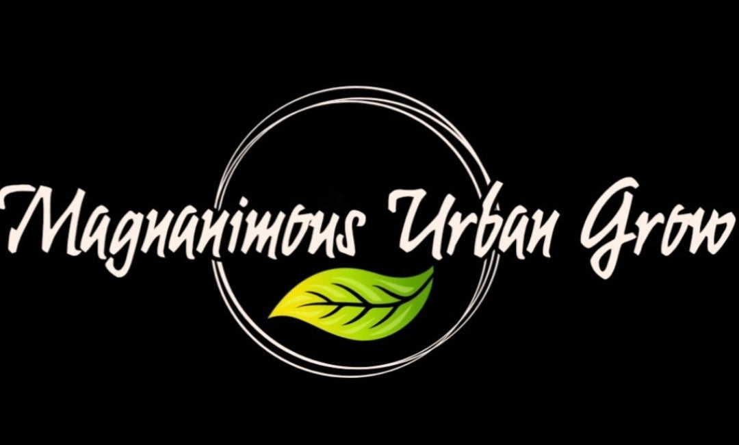 Magnanimous Urban Grow Wholesale
